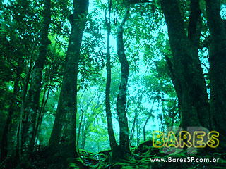 FILE 2008 no Centro Cultural Fiesp FILE 2008 no Centro Cultural Fiesp