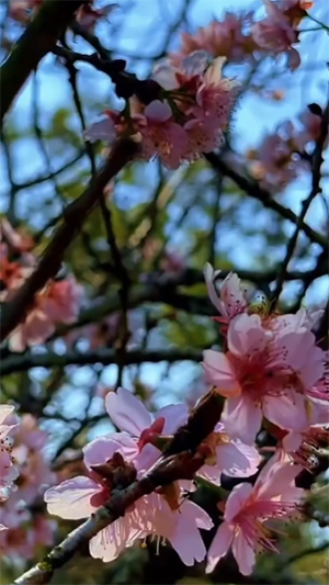 na redes sociais Siga SP 